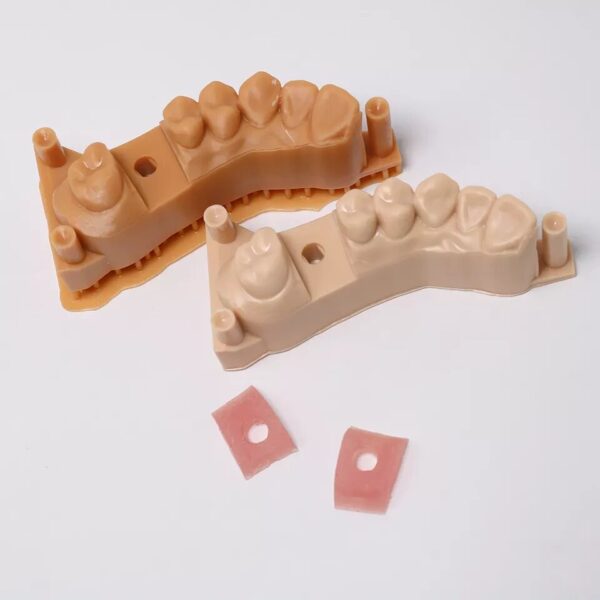 Dental Biocompatible Gingiva Resin