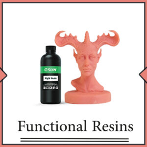 Functional Resins